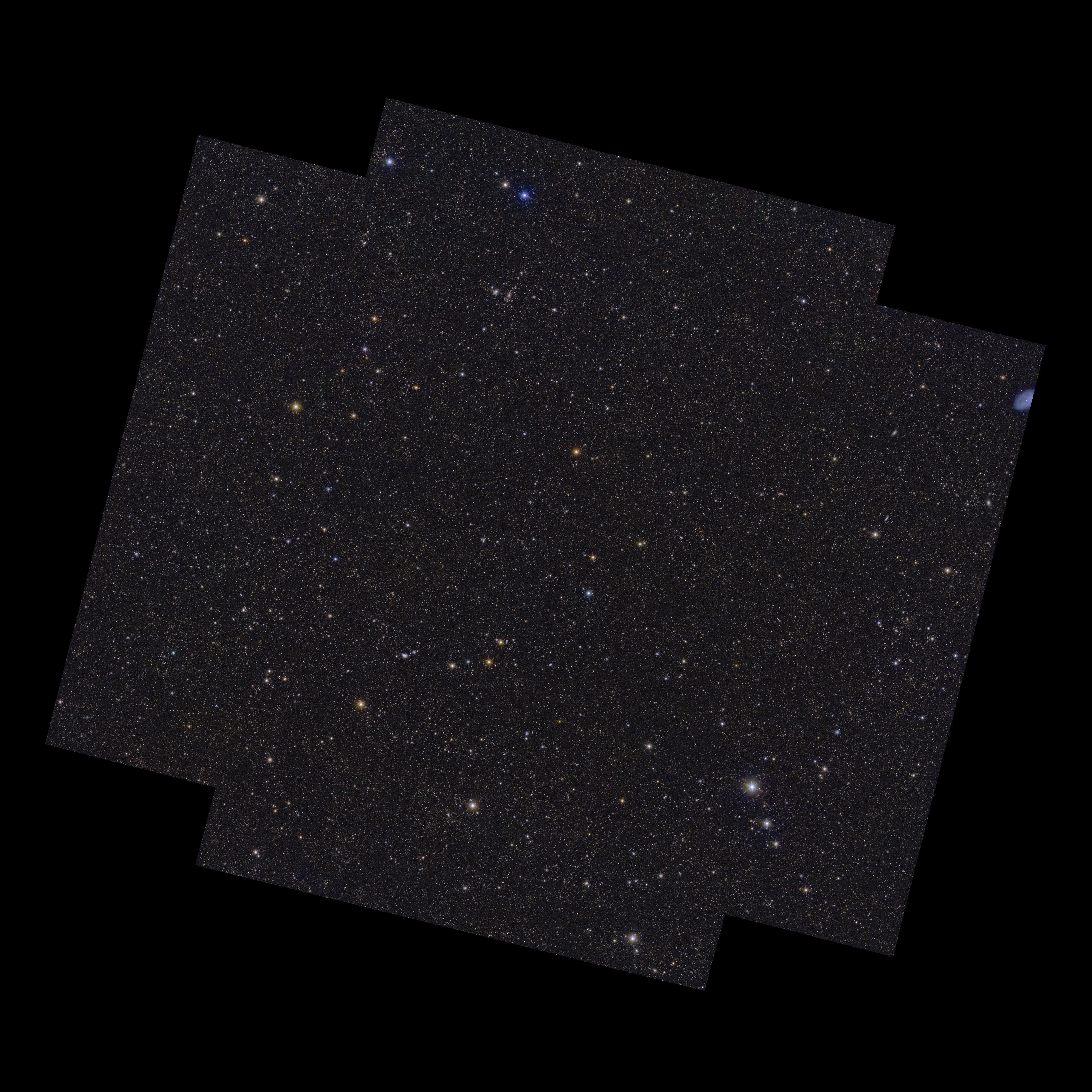 Euclid Deep Field Fornax