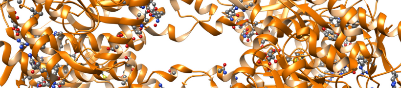 membrane protein