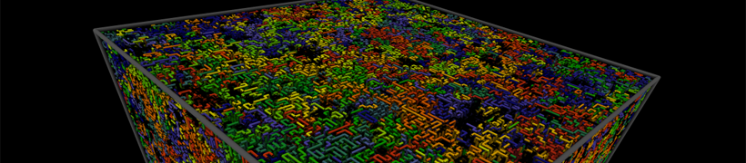 Dense polymer melt representation