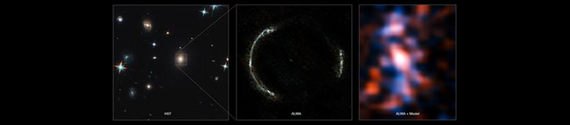 ALMA_792X175.jpg
