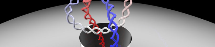 KNOT_792__x_175.png