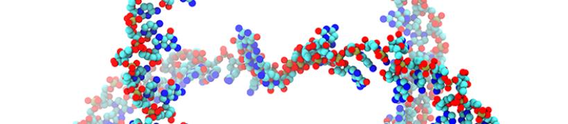 Knotted_RNA1_792X175.jpg