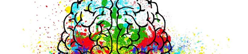 brain_792x195.jpg