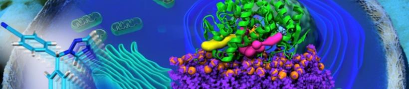 cell_792x175.jpg