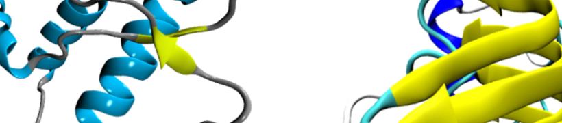cover_sissa792X175.jpg