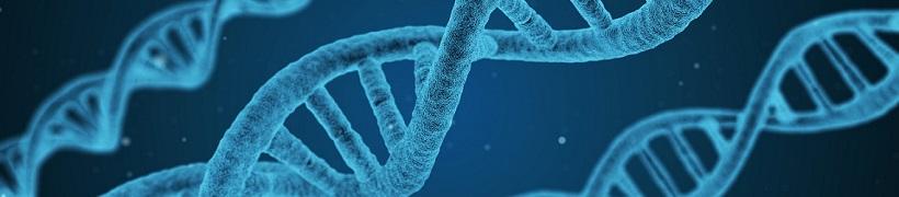 dna-820x180.jpg