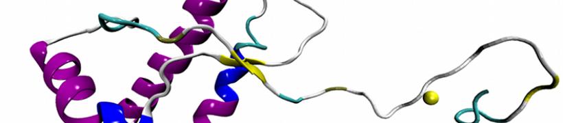proteina_prionica_792X175.jpg