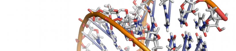 rna_792X175.jpg