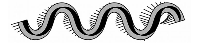 snakeIMAGE_792_175.jpg