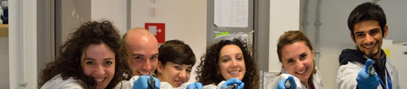 studenti_792X175.jpg