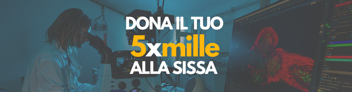 5x1000 donation