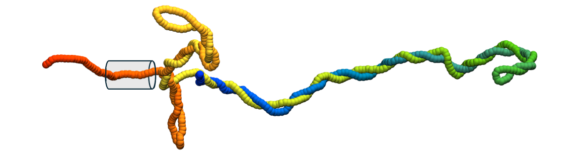 The Twisted Strand of Life: Nanopores Reveal DNA Entanglements