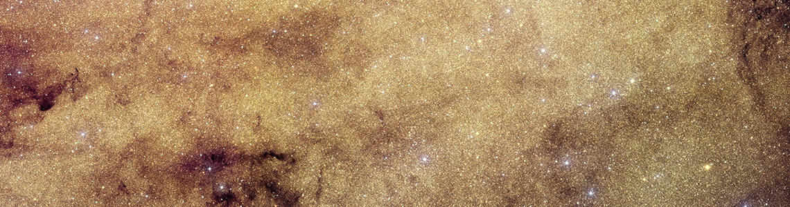 Galactic Bulge Survey Area